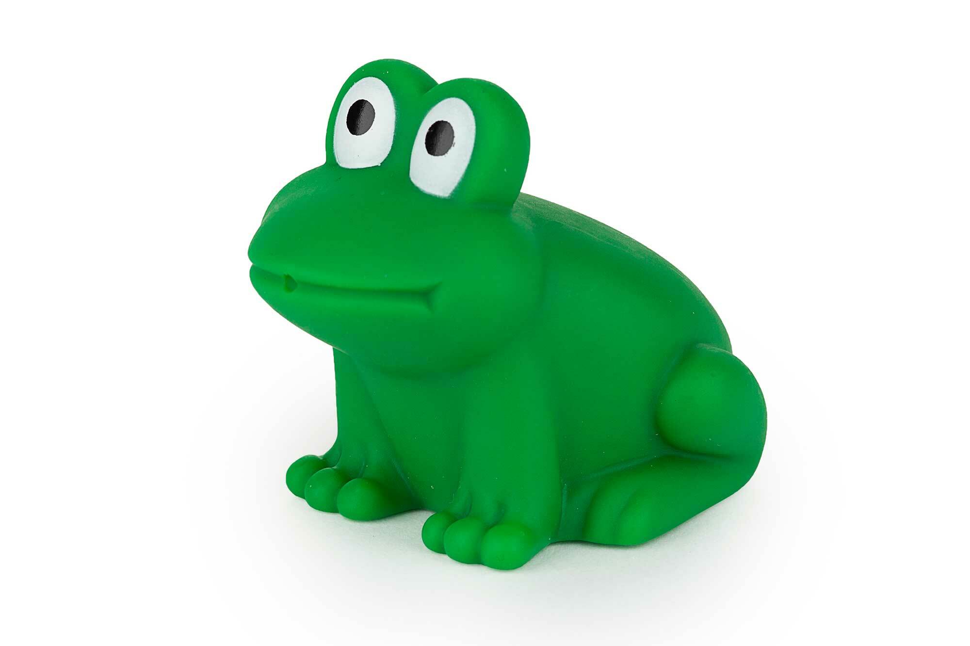 Bath Toy 'Froggy'